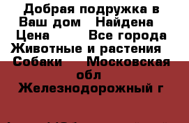 Добрая подружка,в Ваш дом!!!Найдена › Цена ­ 10 - Все города Животные и растения » Собаки   . Московская обл.,Железнодорожный г.